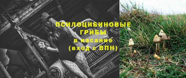 крисы Абдулино