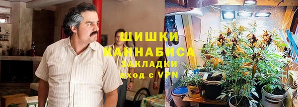 крисы Абдулино