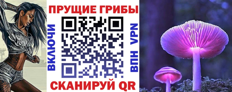 купить закладку  Норильск  Галлюциногенные грибы мухоморы 